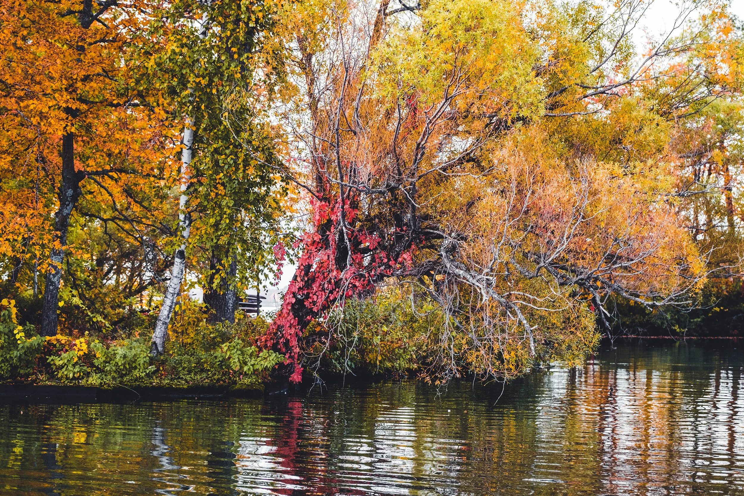 Stouts_Island_Fall2022-191.jpg