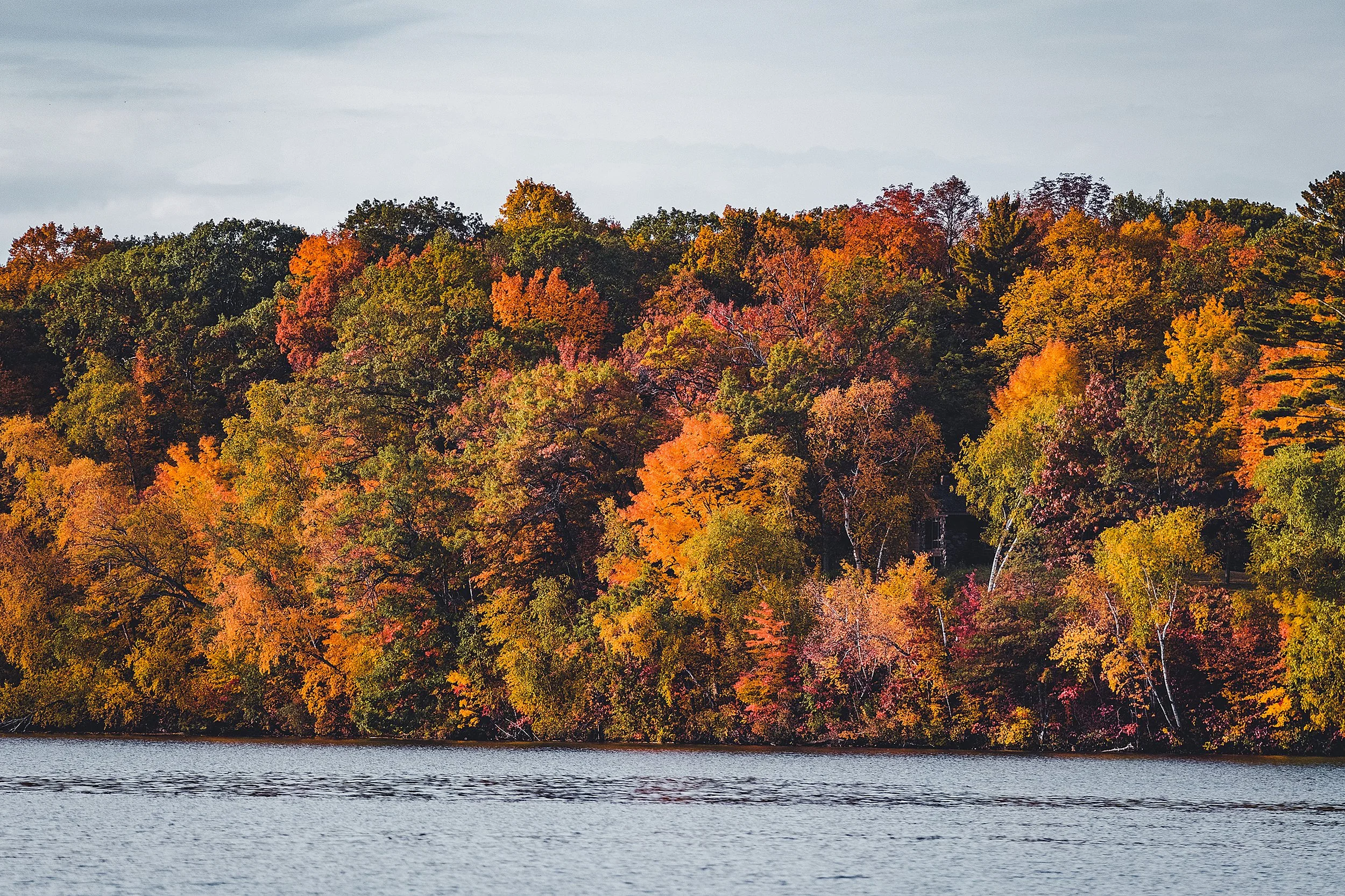 Stouts_Island_Fall2022-195.jpg