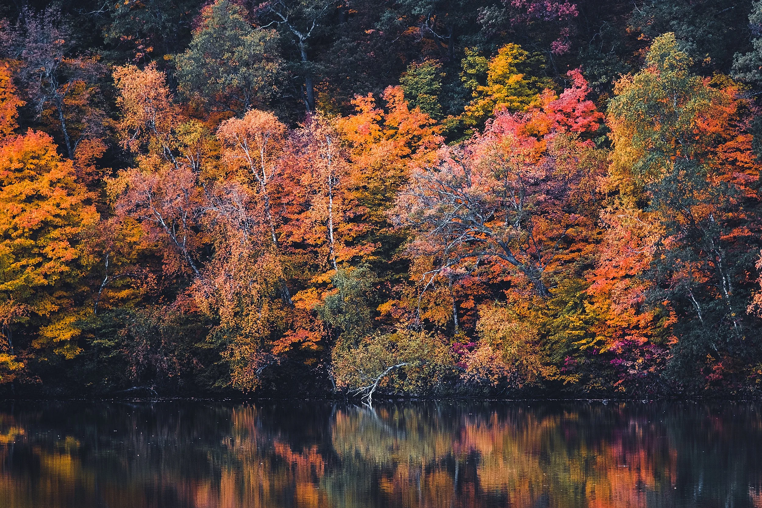 Stouts_Island_Fall2022-157.jpg