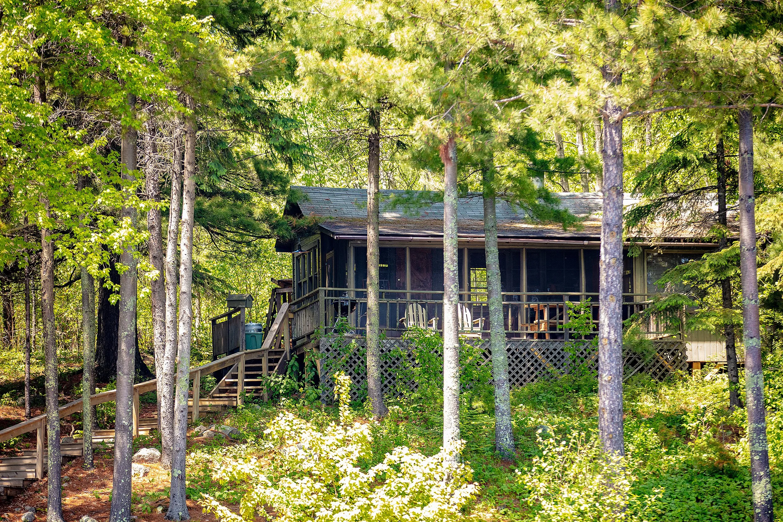 Ludlows_2019_3-19.jpg