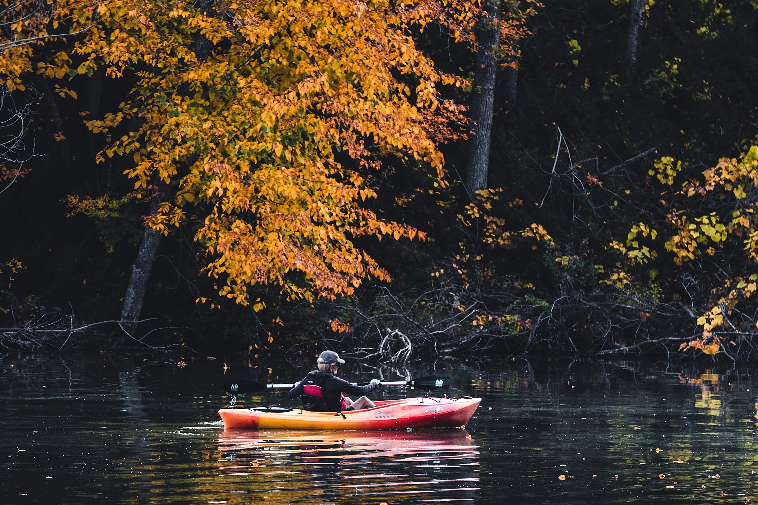 Stouts_Island_Fall2022-175.jpg