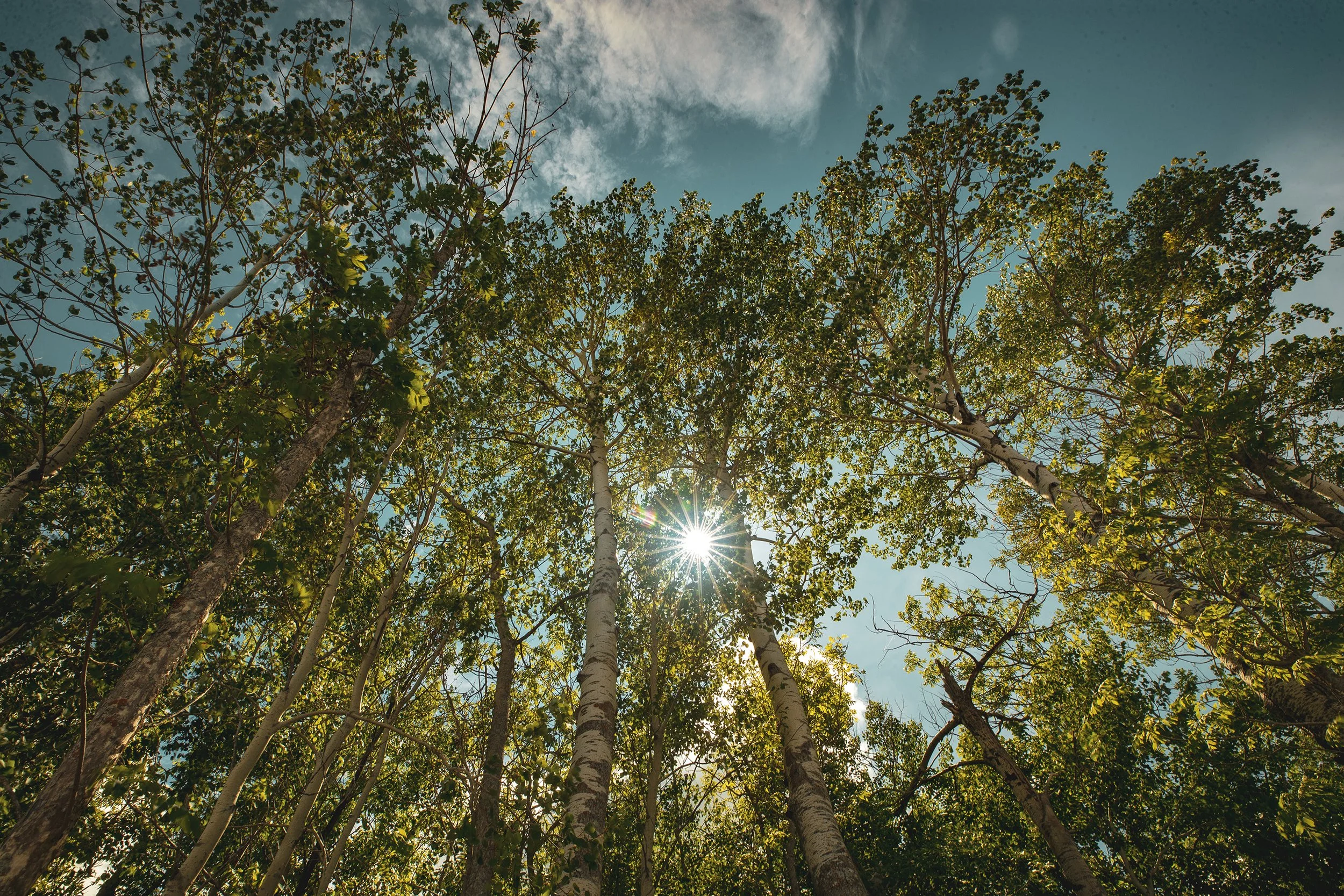 RBR_Summer-101.jpg
