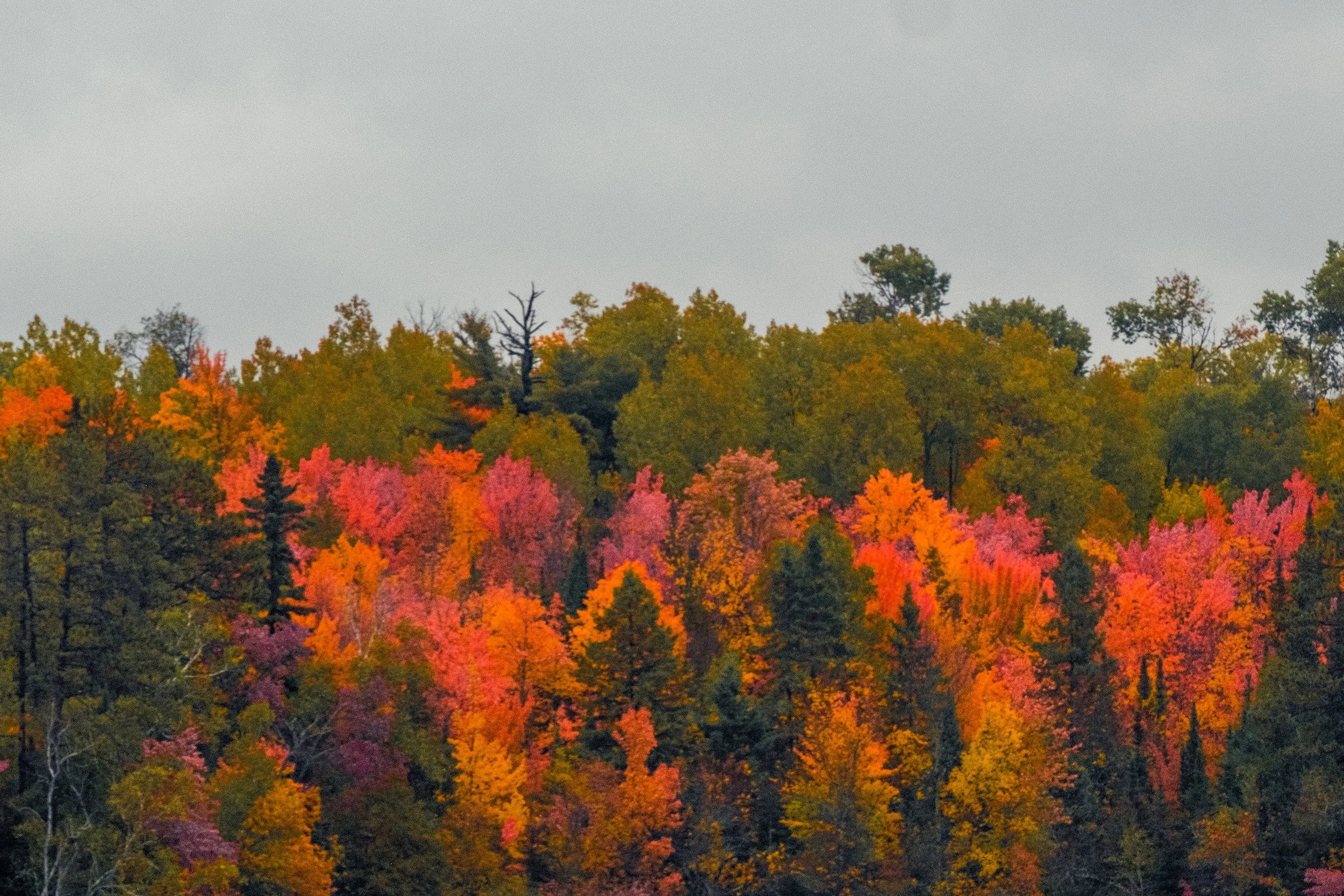 MuskegoPoint_Sept_2026-91.jpg