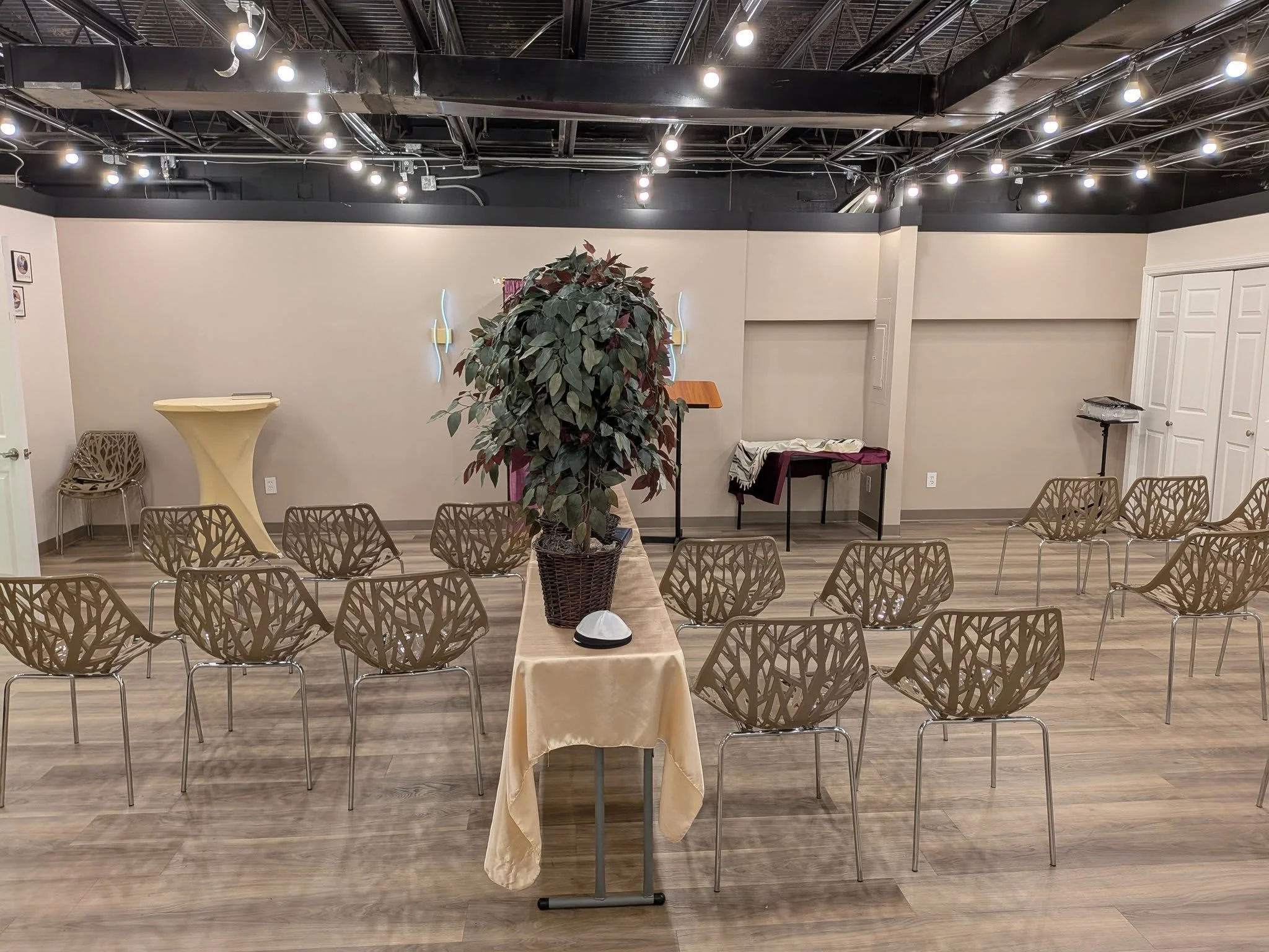 An empty room set up for an event with chairs arranged in rows, a table with a beige tablecloth, a large potted plant in the center, wall decorations, and overhead lighting fixtures.