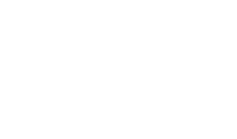 The Gumbo Bros (Copy)