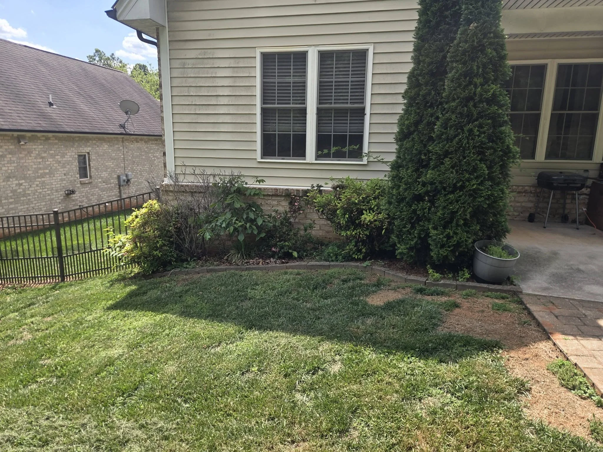 A backyard with a brick patio and a green lawn, fence, bushes, a large bush or small tree, and part of a house with siding and windows. There is a grill on the patio and a small garden bed along the house.