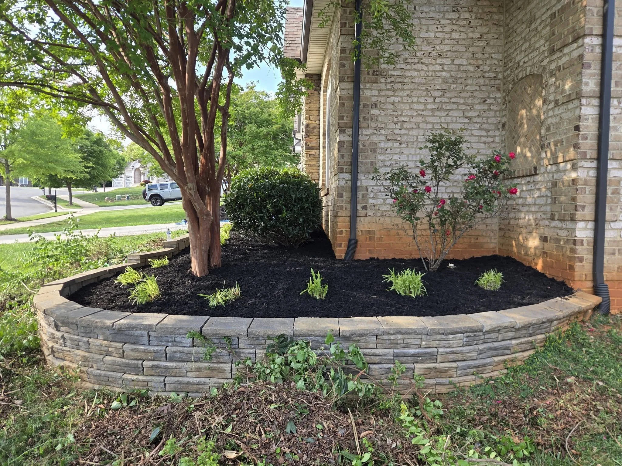 A flower bed with a border of stacked gray bricks, containing a small tree with brown bark and green leaves, a pink flowering bush, and various small green plants. The background shows a suburban neighborhood with houses, a street, and parked cars, under a partly cloudy sky.