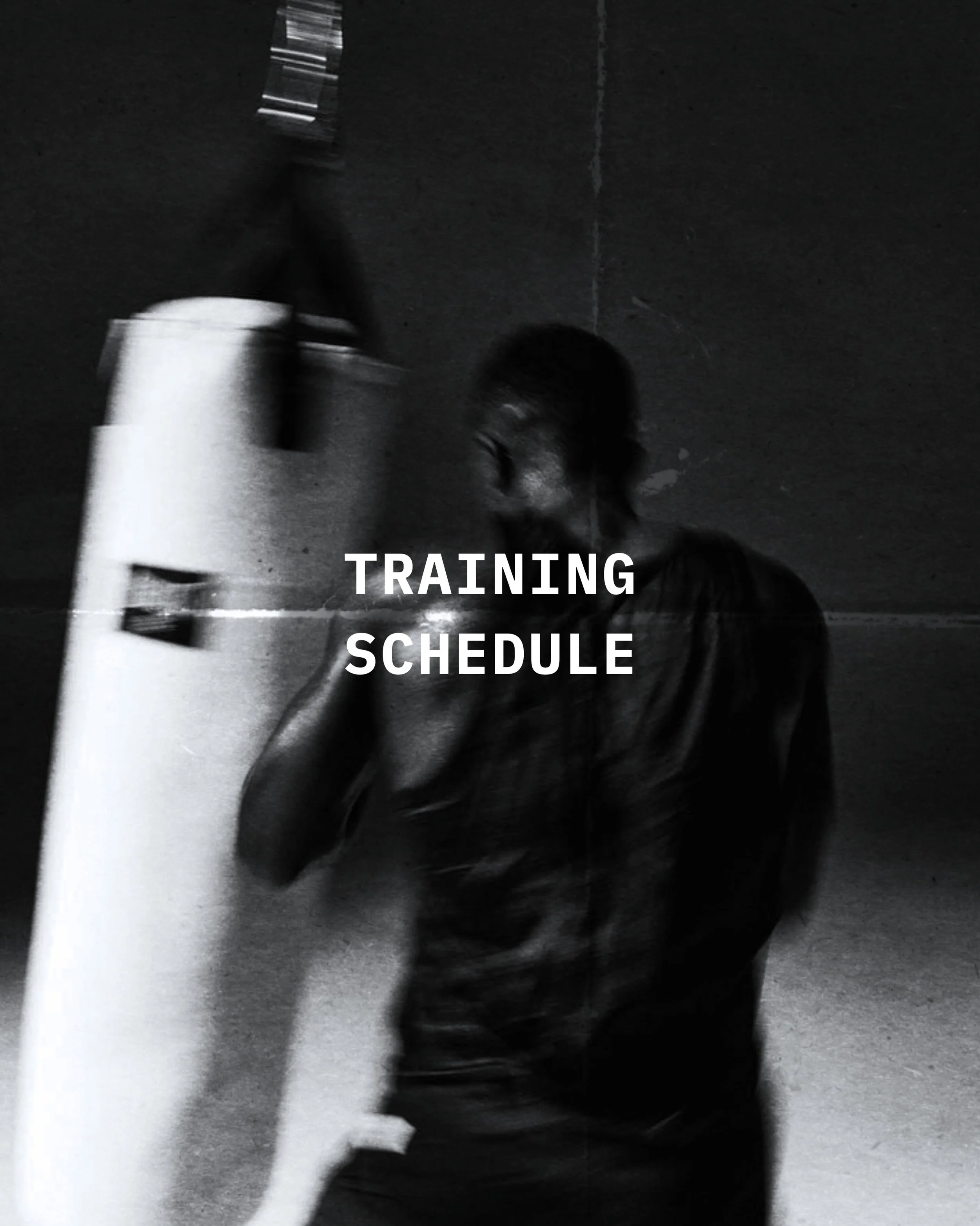 Het nieuwe training schema vanaf maandag 31 / 08
Make sure you&rsquo;re ready to train! 🥊
