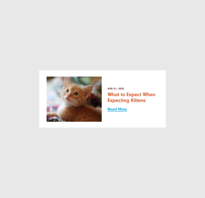 Blog post
