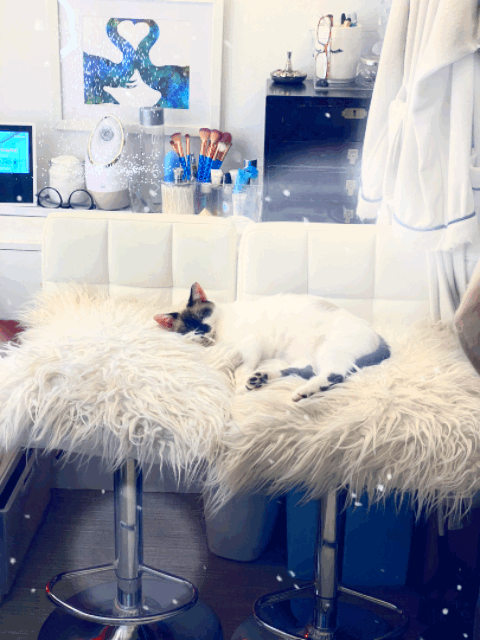 A white and black cat sleeping on a fluffy white chair in front of a window with a snow scene and a painting of a swan.