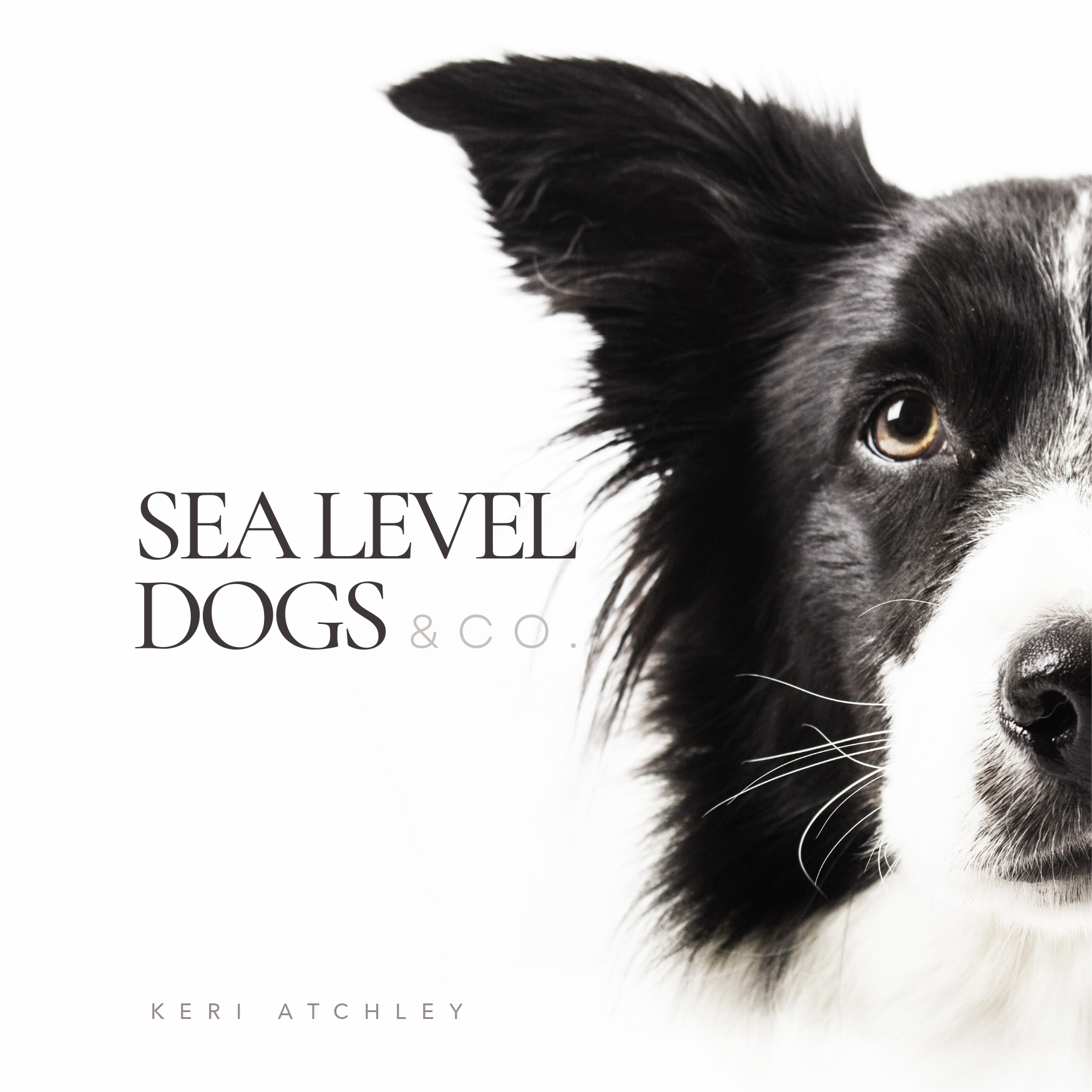 Sea Level Dogs + CO.