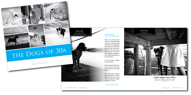 Design360_Dogs_of_30A_book.png