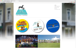 Design360_websites_30a-pet-center.png
