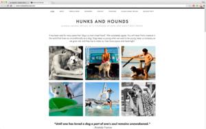 Design360_websites_hunks-and-hounds.png
