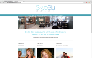Design360_websites_skyeblu.png