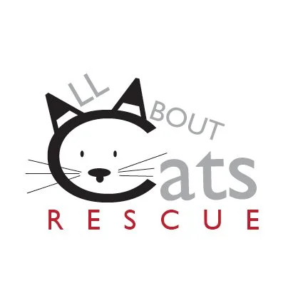 design-360_logos_2015-152 (1).jpg