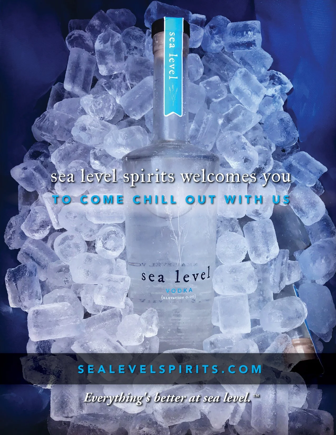 SeaLevel Magazine ad 081619.jpg