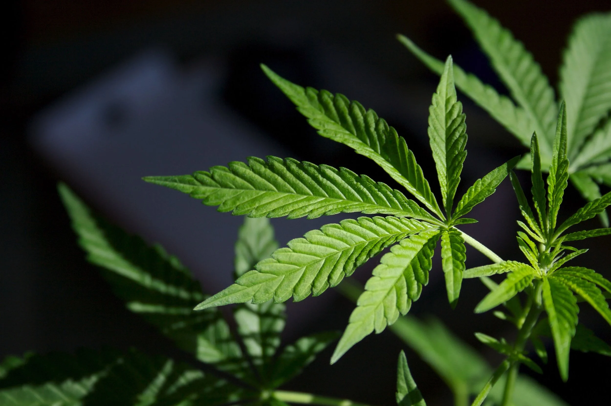 Aphria/CHT Medical