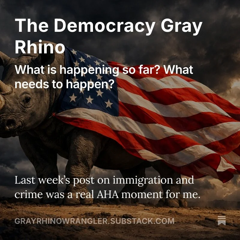 A rhino wearing an American Flag like a Cape. TEXT overlay:The Democracy Gray Rhino What is happening so far? What needs to happen?