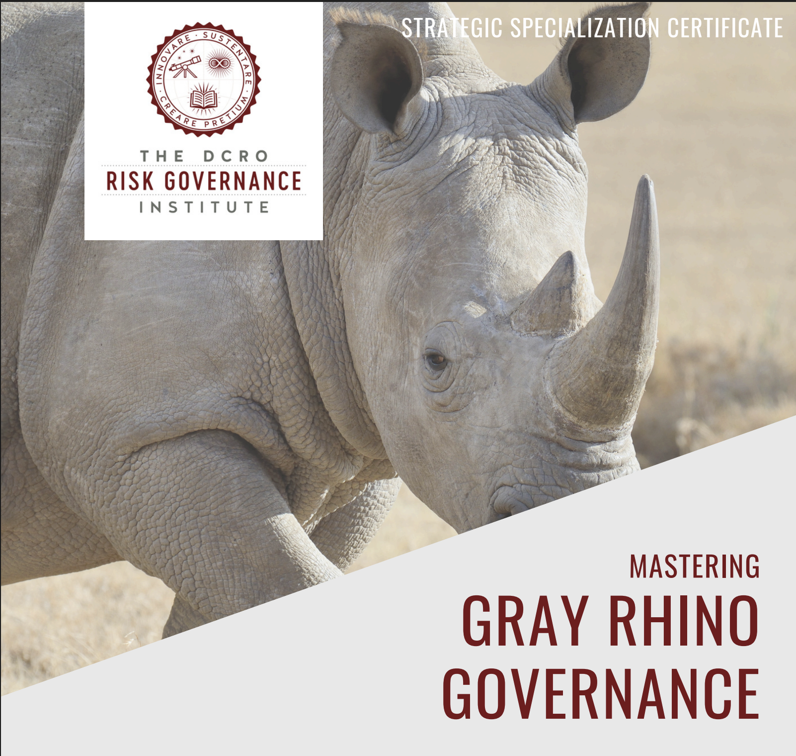DCRO Risk Governance Institute logo superimposed over the image of a rhino with text "mastering gray rhino governance: Strategic Specialization Certificate"