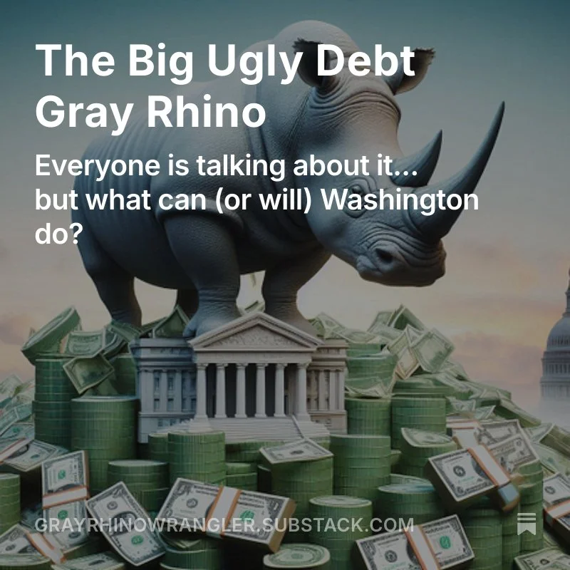 A giant gray rhino standing on top of the US Treasury building, with dollars and coins scattered all around. Text reads: The Big Ugly Debt Gray Rhino: Everyone is talking about it, but what can (or will) Washington do?
