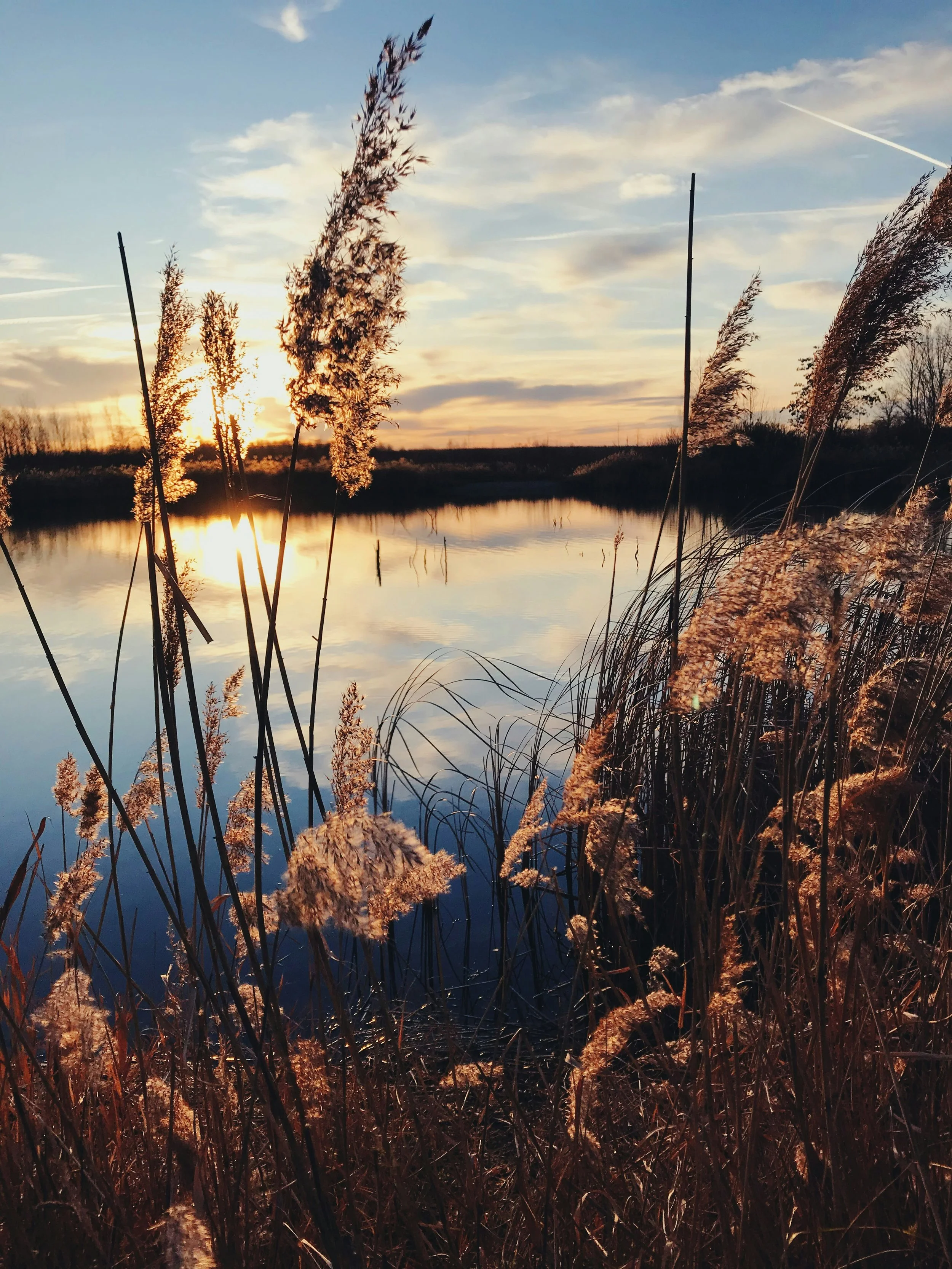 Sunset over a calm river with tall grasses in the foreground and a partly cloudy sky.