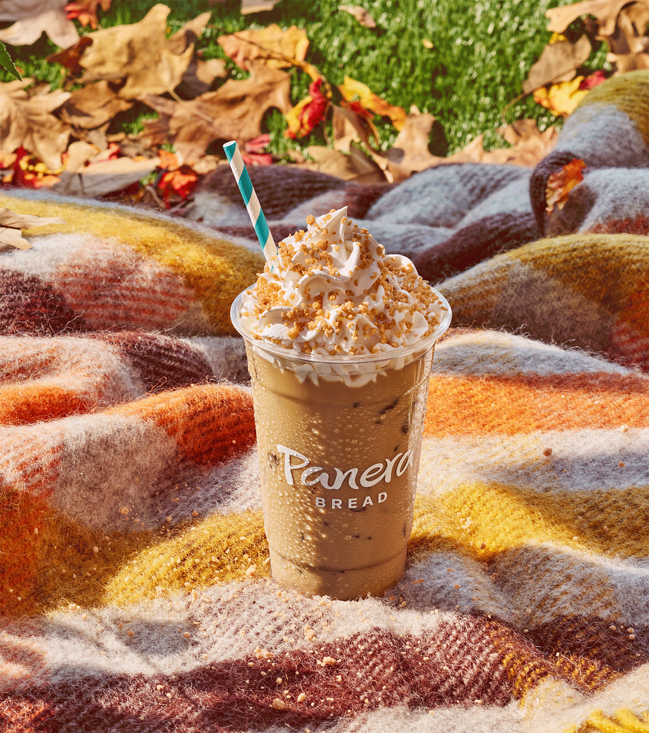C726-PIcedPumpkinSpiceLatte_ToGo_GIF_R1-FF.gif