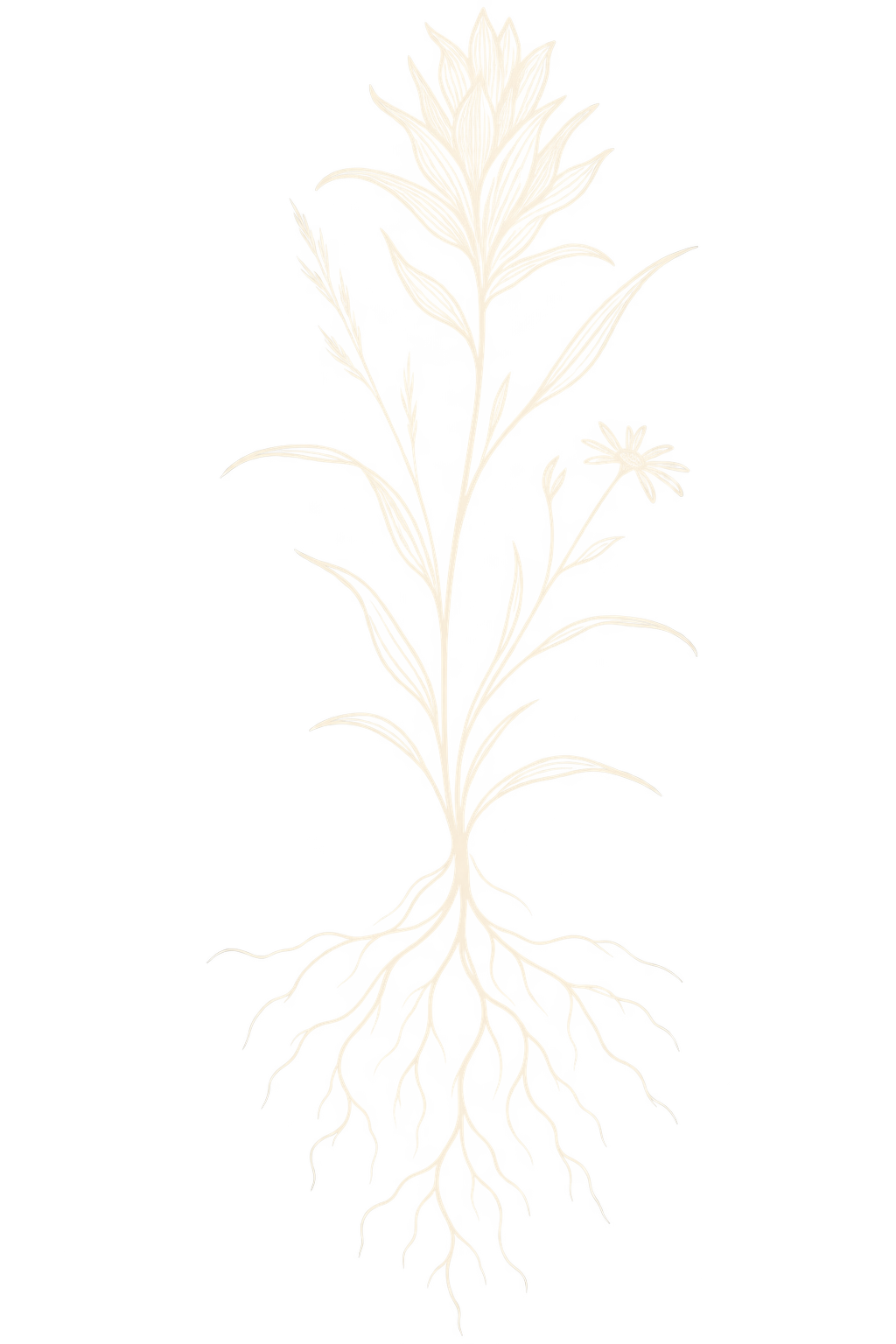 Rooted wildflower representing Wildflower Nutrition’s root-cause approach to health.