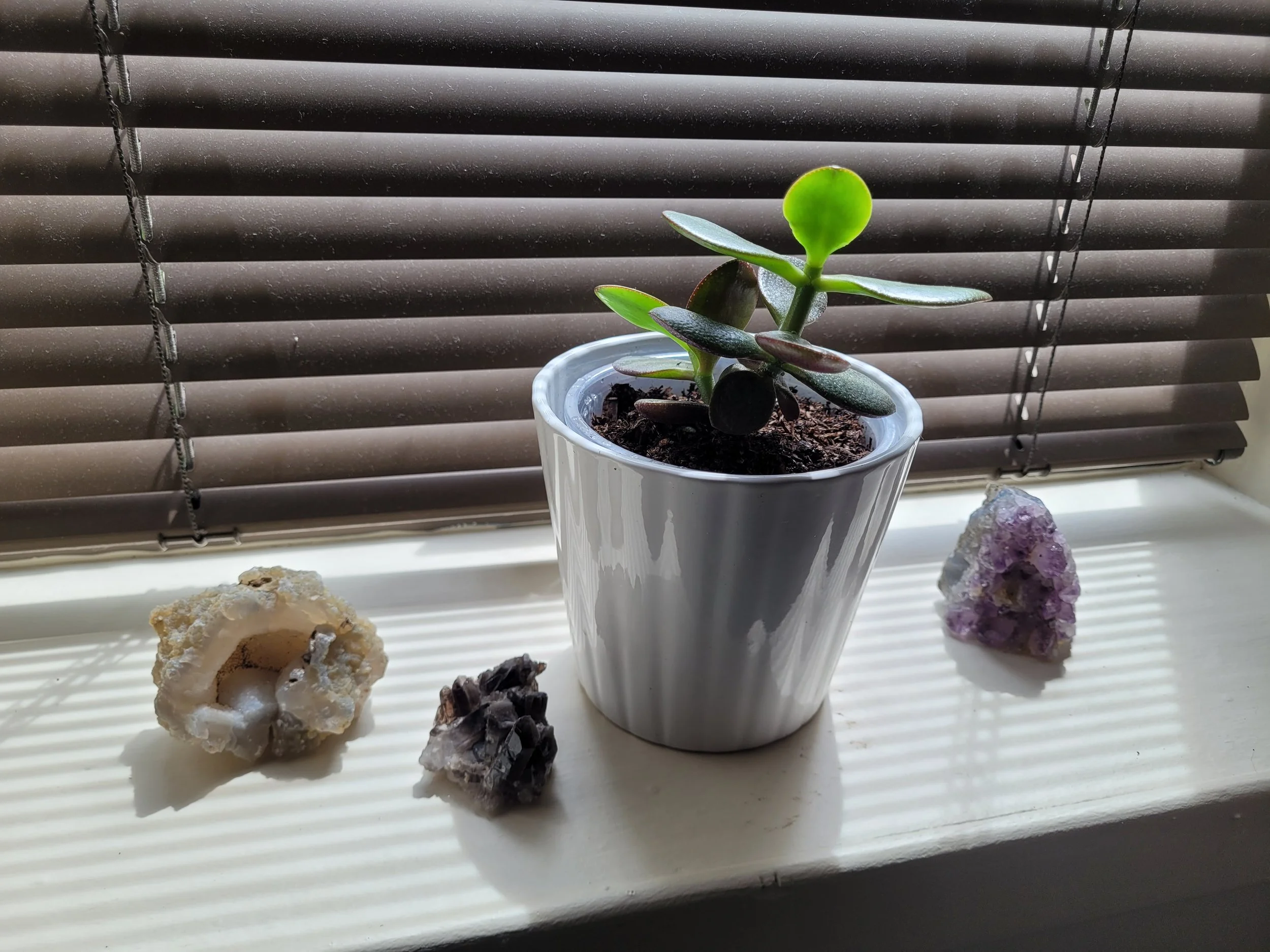 A jade plant in a white plant pot surrounded by natural mineral crystals on the massage room's windowsill.