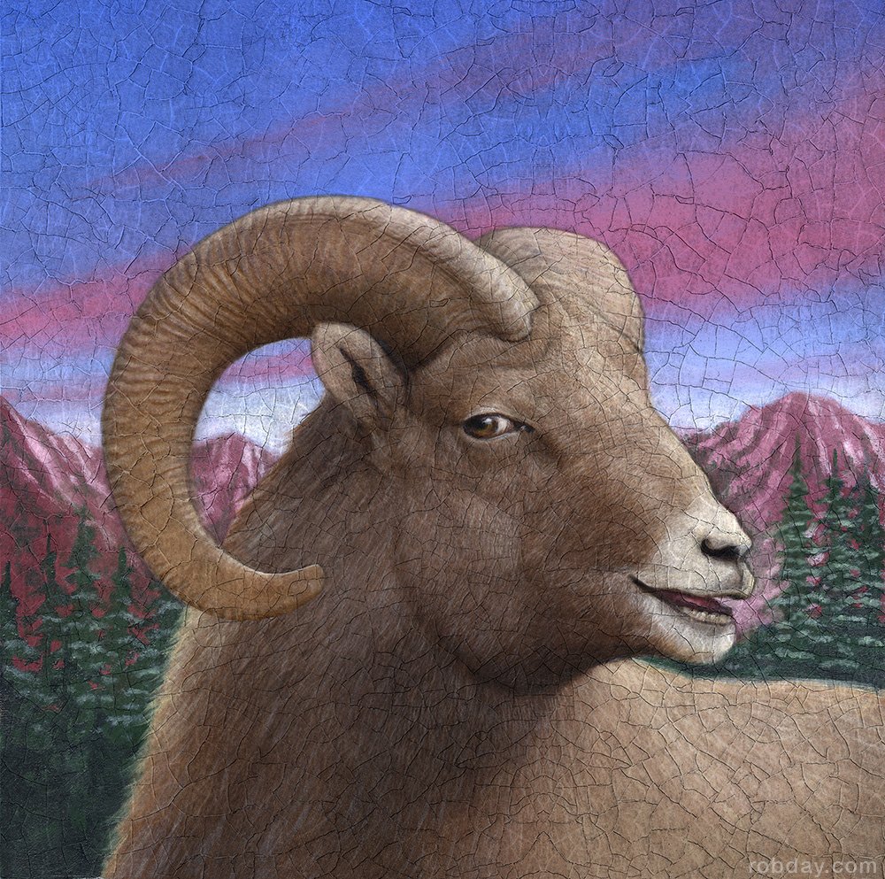 Ram, oil on illustration board, 10"x10", One in a series of illustrations for a print ad campaign for Estes Park, Colorado