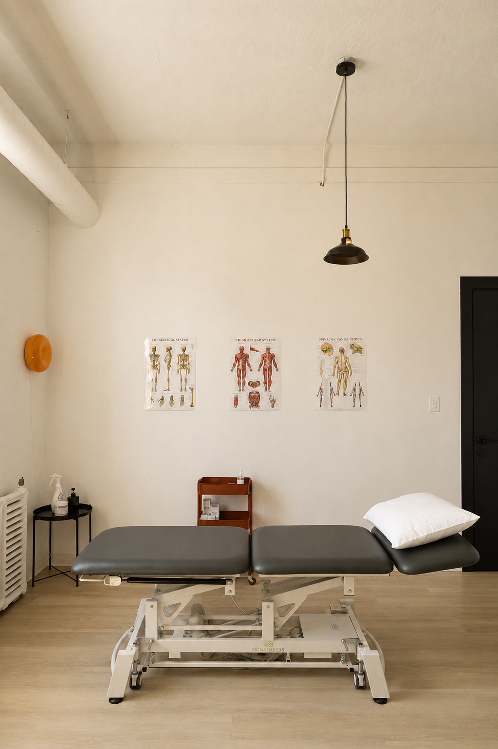 A medical examination room with a treatment table, anatomical posters on the wall, a black door, and medical supplies on a small table.