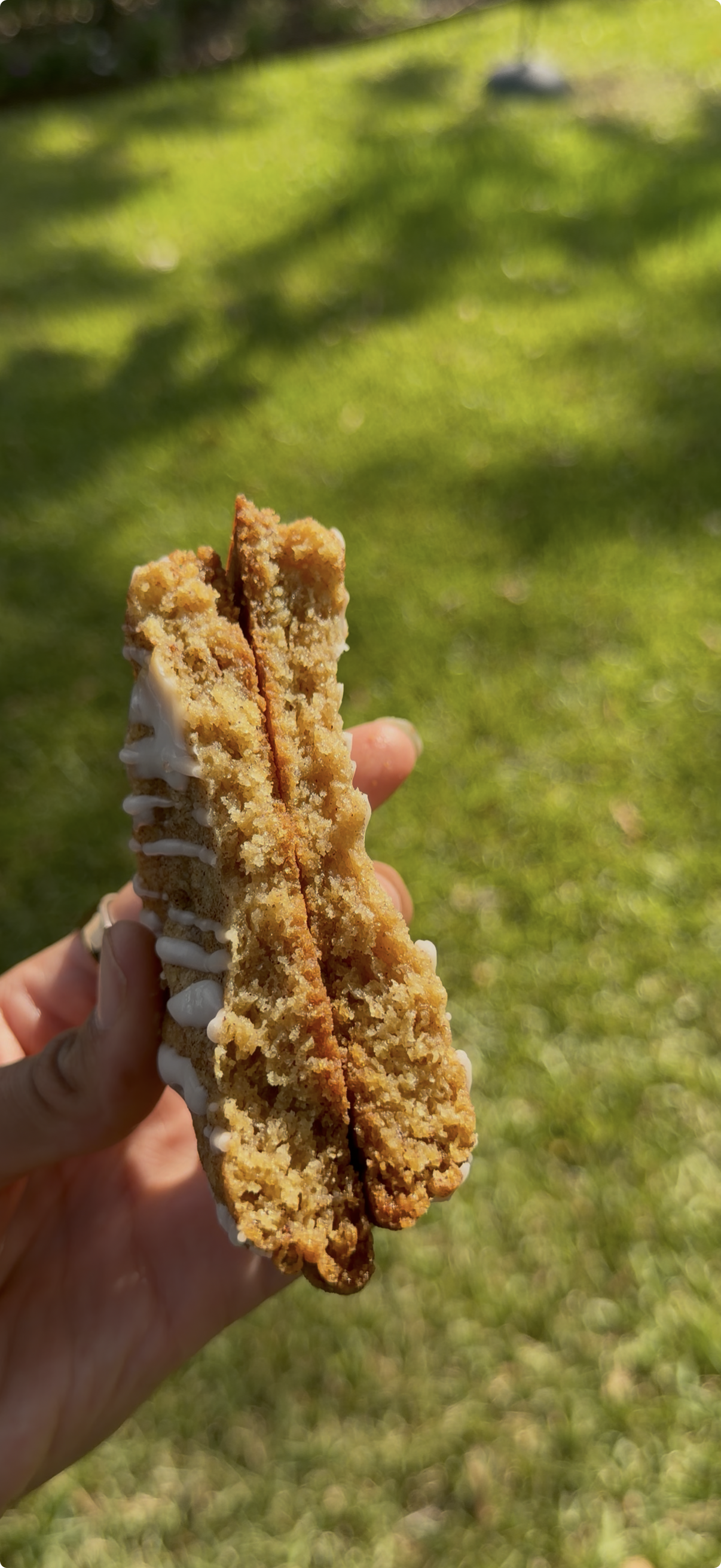 Snickerdoodle