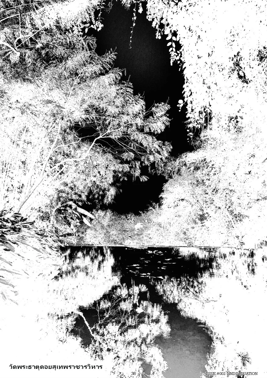 ISSUE#002-'INDIVIDUATION' [WEBSITE COPY]_38-page-00001.jpg