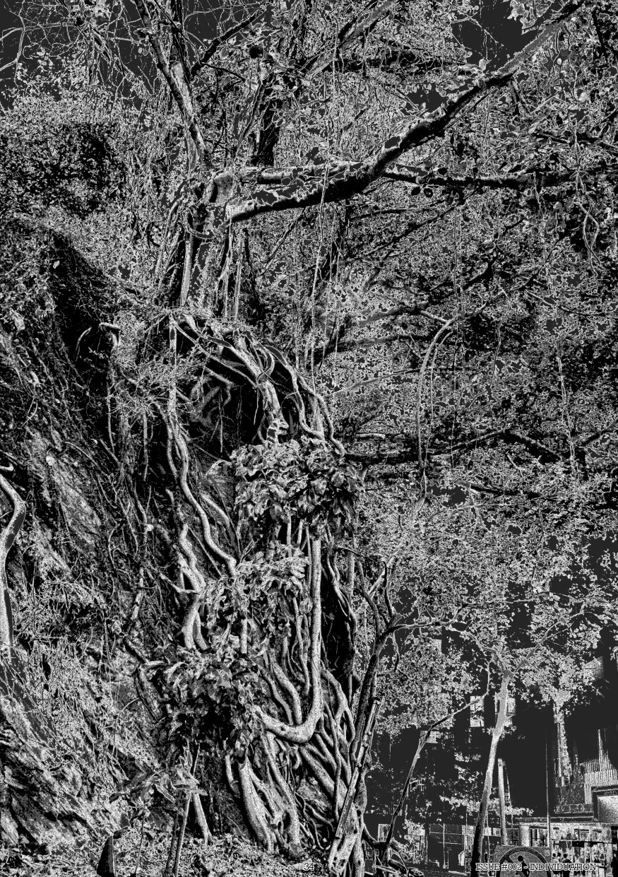 ISSUE#002-'INDIVIDUATION' [WEBSITE COPY]_34-page-00001.jpg