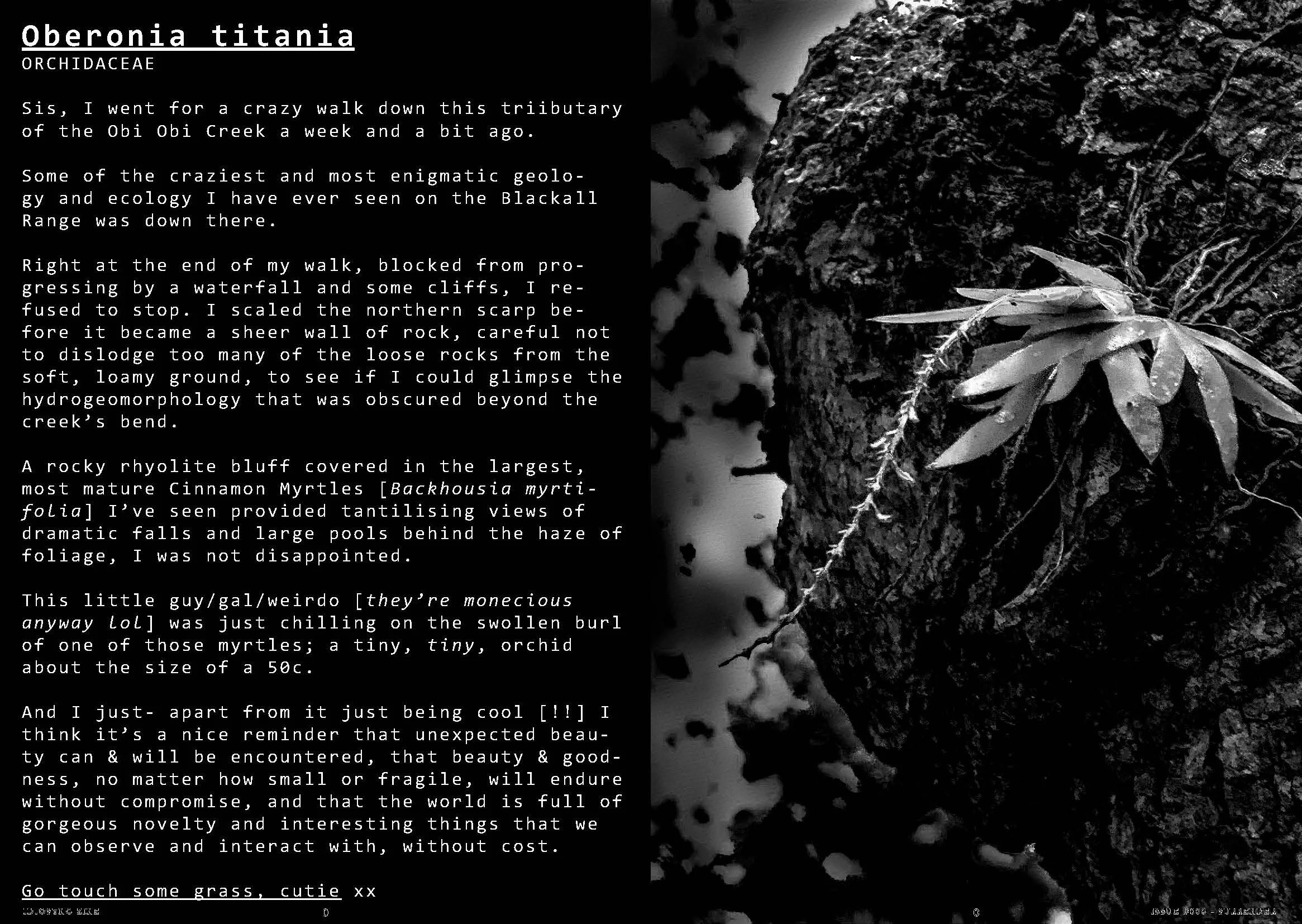 ISSUE #003 - SURRENDER [FINAL DRAFT] -RGB-_Page_18.jpg