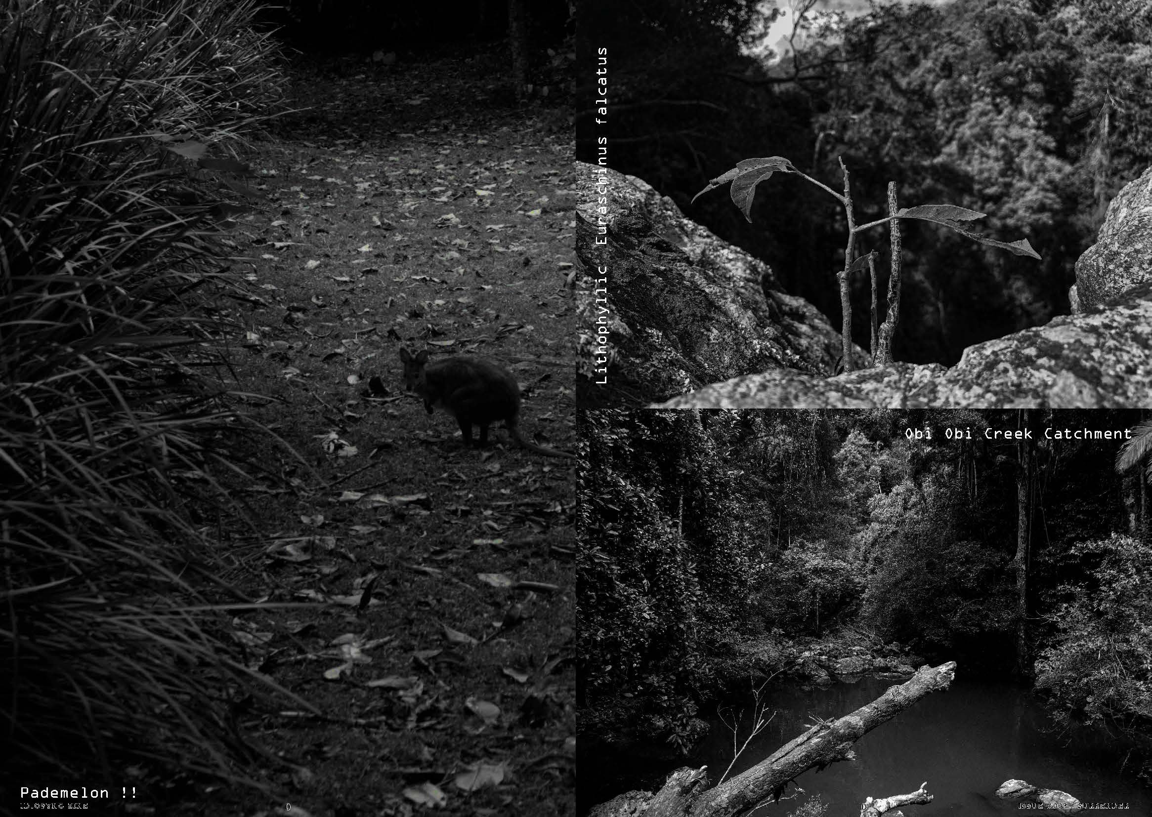 ISSUE #003 - SURRENDER [FINAL DRAFT] -RGB-_Page_05.jpg