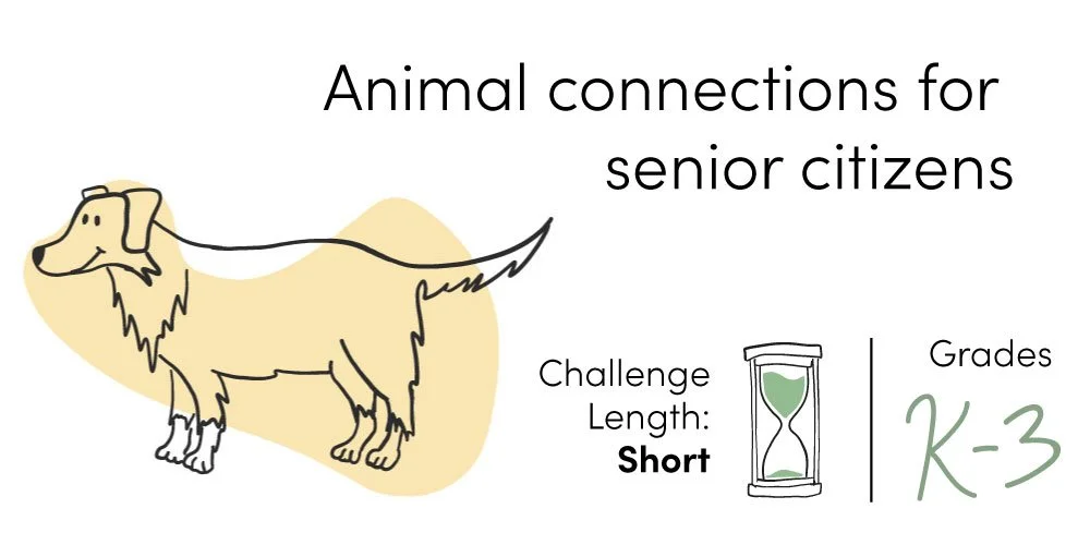 OSPCA_Animal-connections-for-senior-citizens.jpg