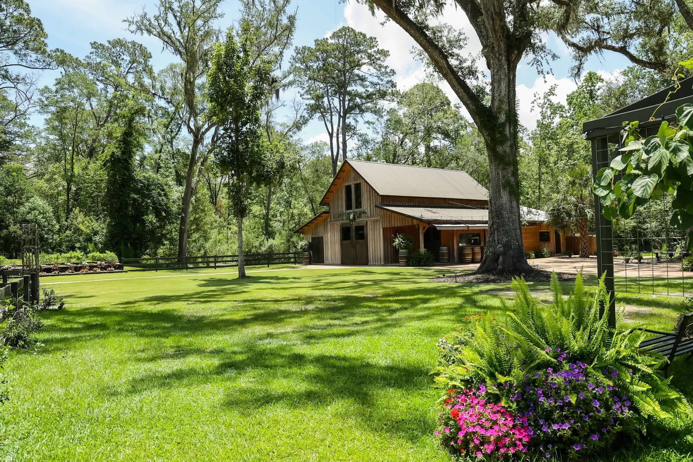 Sunlit backyard with a green lawn, large trees, a wooden house, and colorful flowers in the foreground.