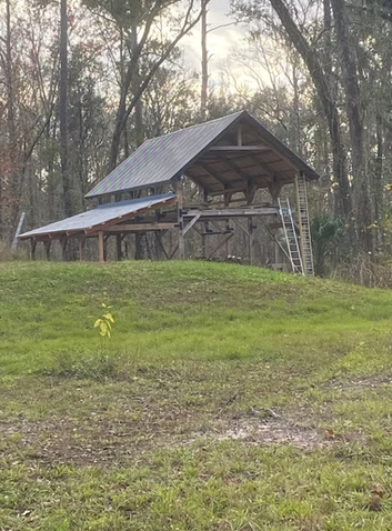 A rustic wooden shelter with a metal roof on stilts, located in a wooded area with trees and grass, and a ladder leaning against the shelter.