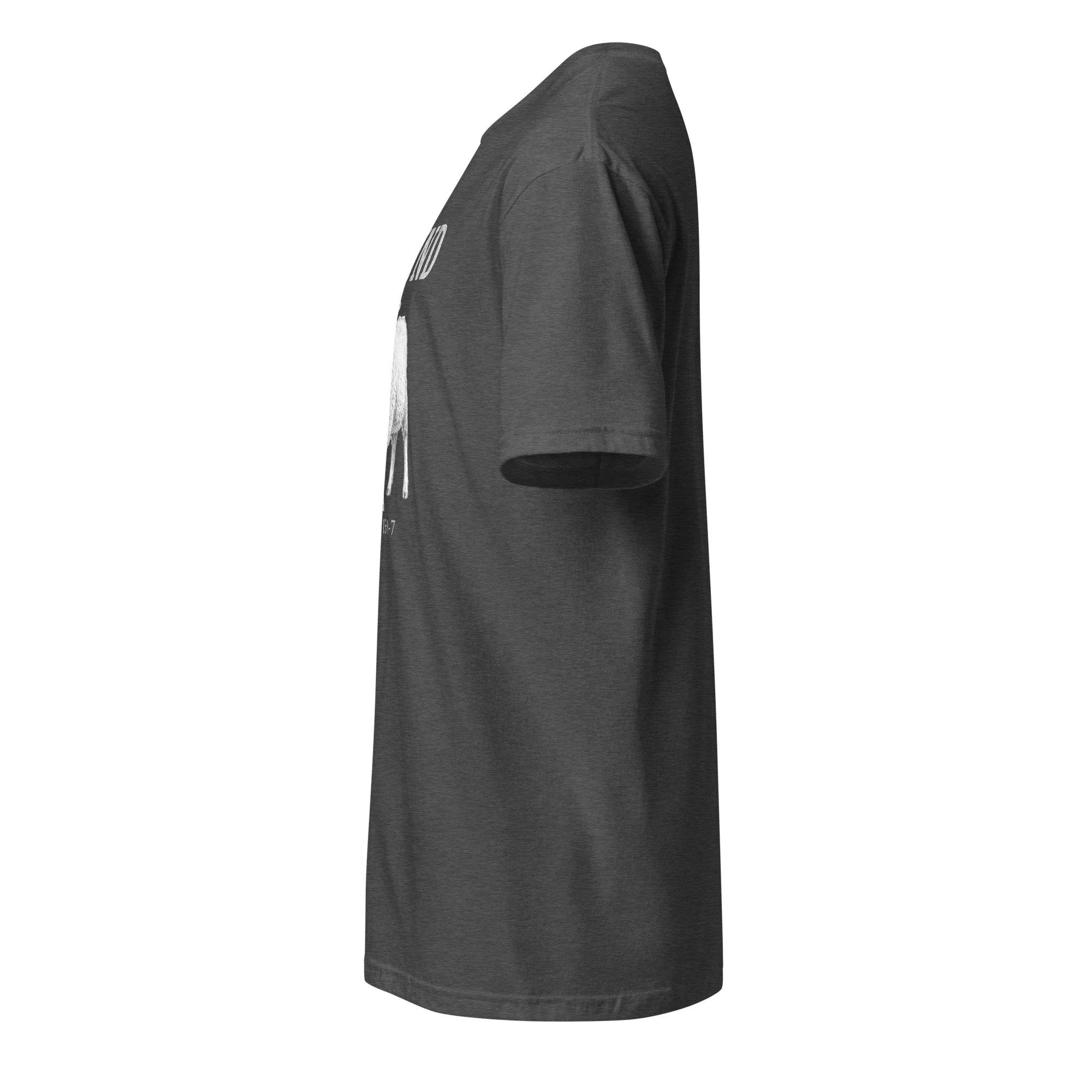 Christian Found Lost Lamb shirt in dark heather grey, side view