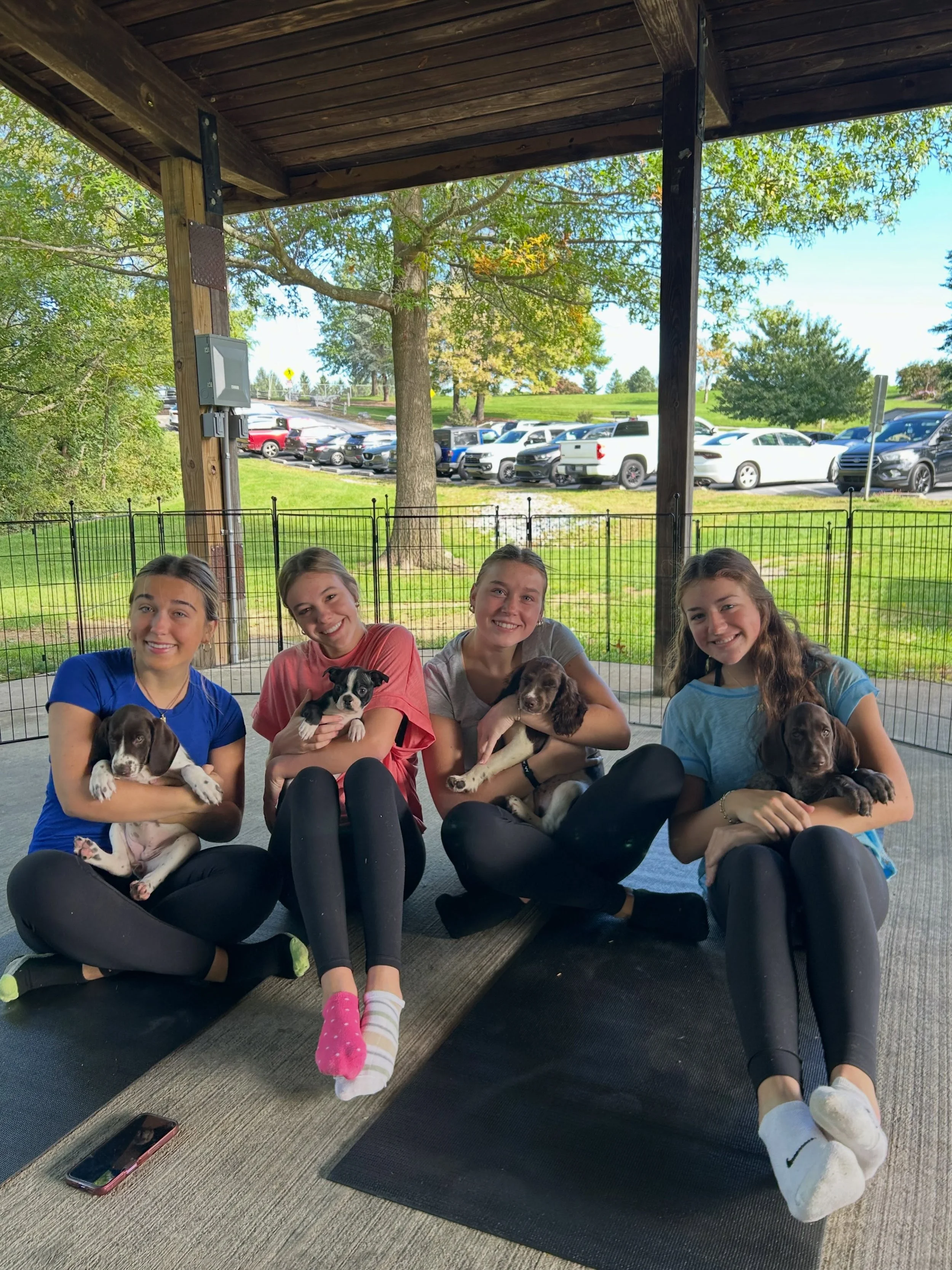 cutest workout ever 🤍🐶