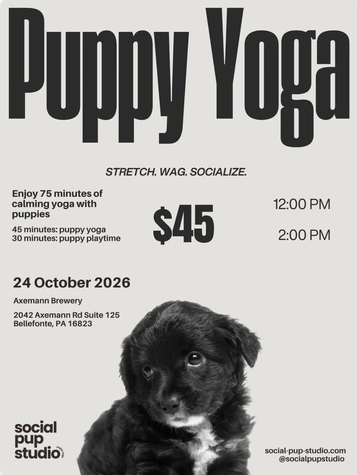Puppy yoga kind of day! 🐶🐾 Book your mat for OCTOBER 24 @axemannbrewery for PUPPY YOGA! Come to hang with puppies and enjoy good food and drinks at the Axemann Brewery after 🍺 (not included in ticket price) Use the link in the bio to book your spo