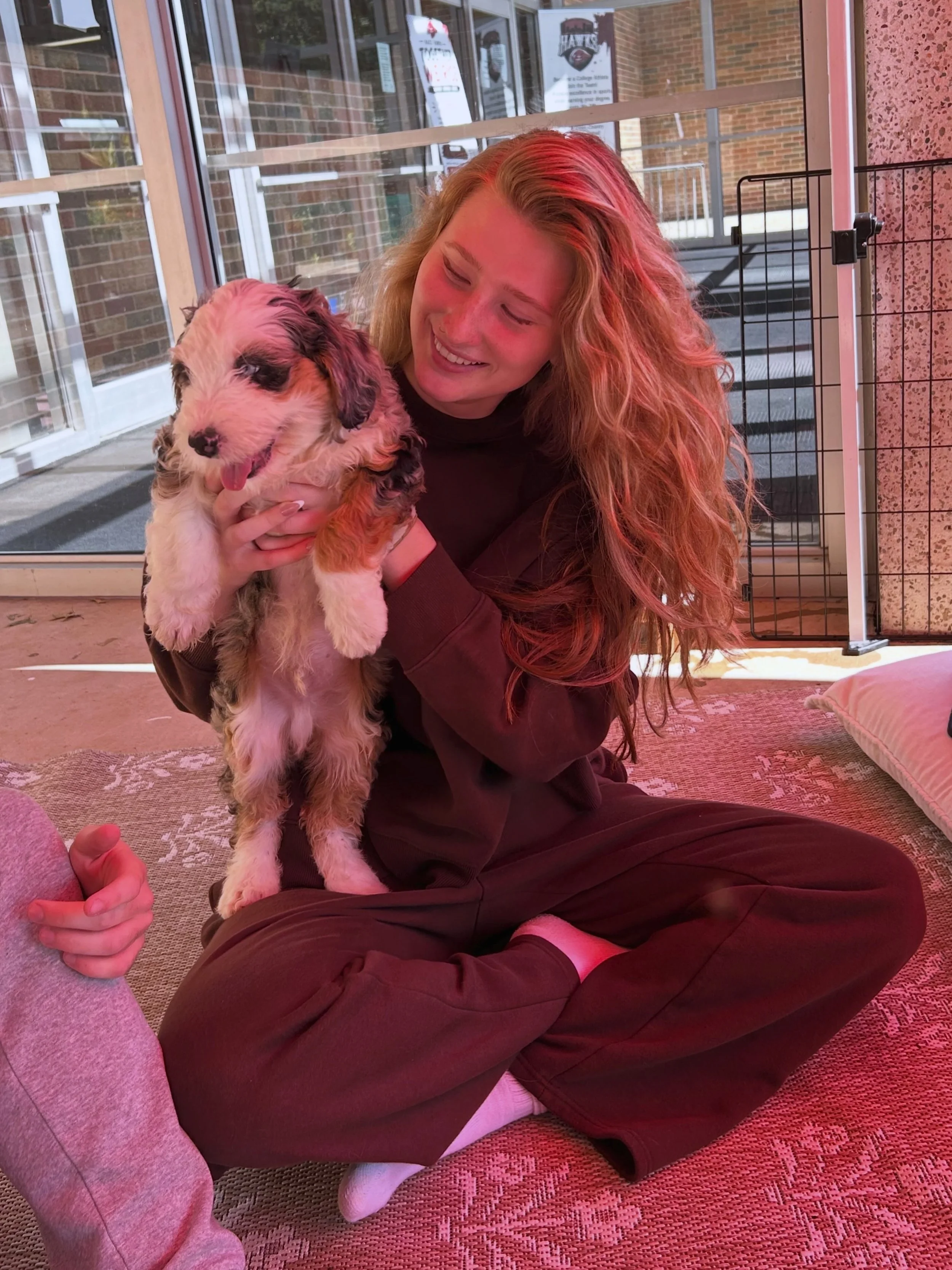 Best type of study break! 🐾📚

The Wellness Day at HACC was all about giving students a chance to slow down, recharge, and enjoy some much-needed puppy time. Good energy, new connections, and lots of puppy love.🤍
