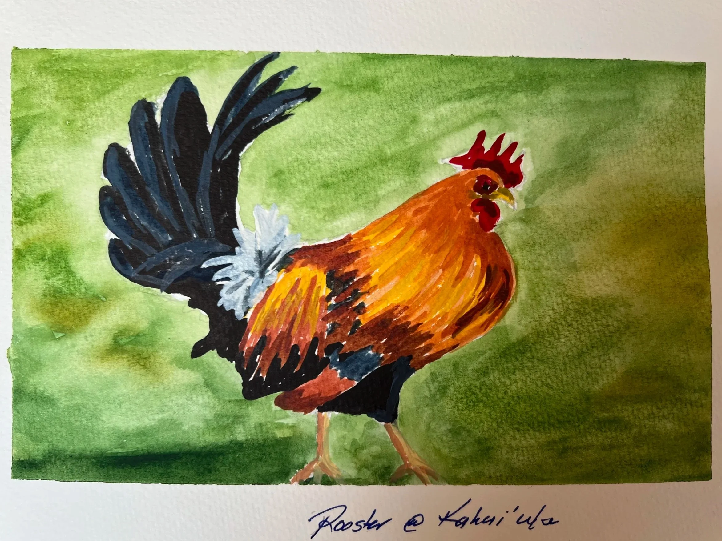 Rooster at Kahui'ula, Watercolour