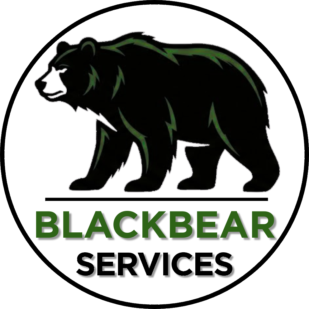 Black Bear Services