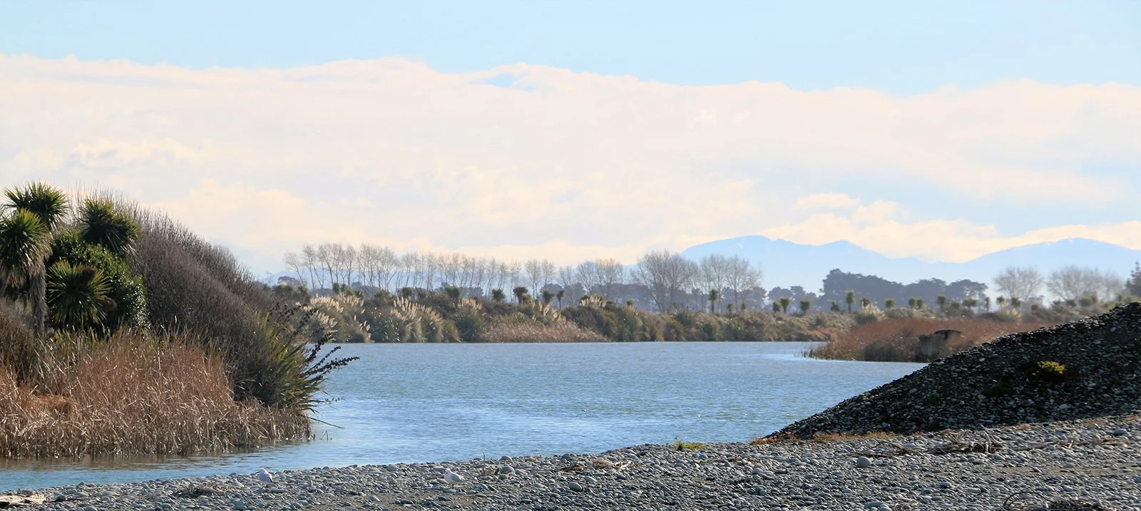 A river with a rocky and pebbly shore, lined with various trees and shrubs, under a partly cloudy sky during daytime.