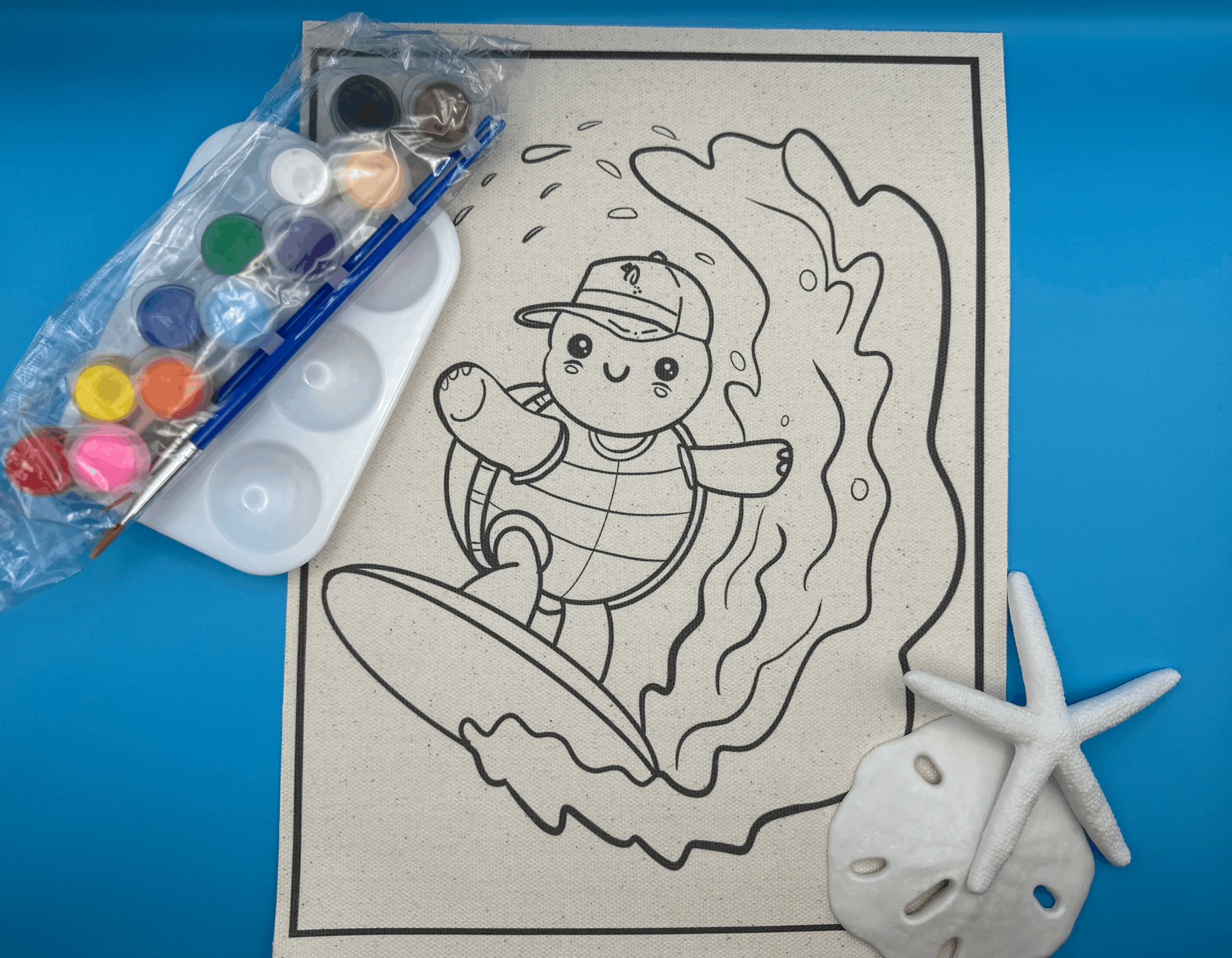 Turtle Surfs Paint Kit