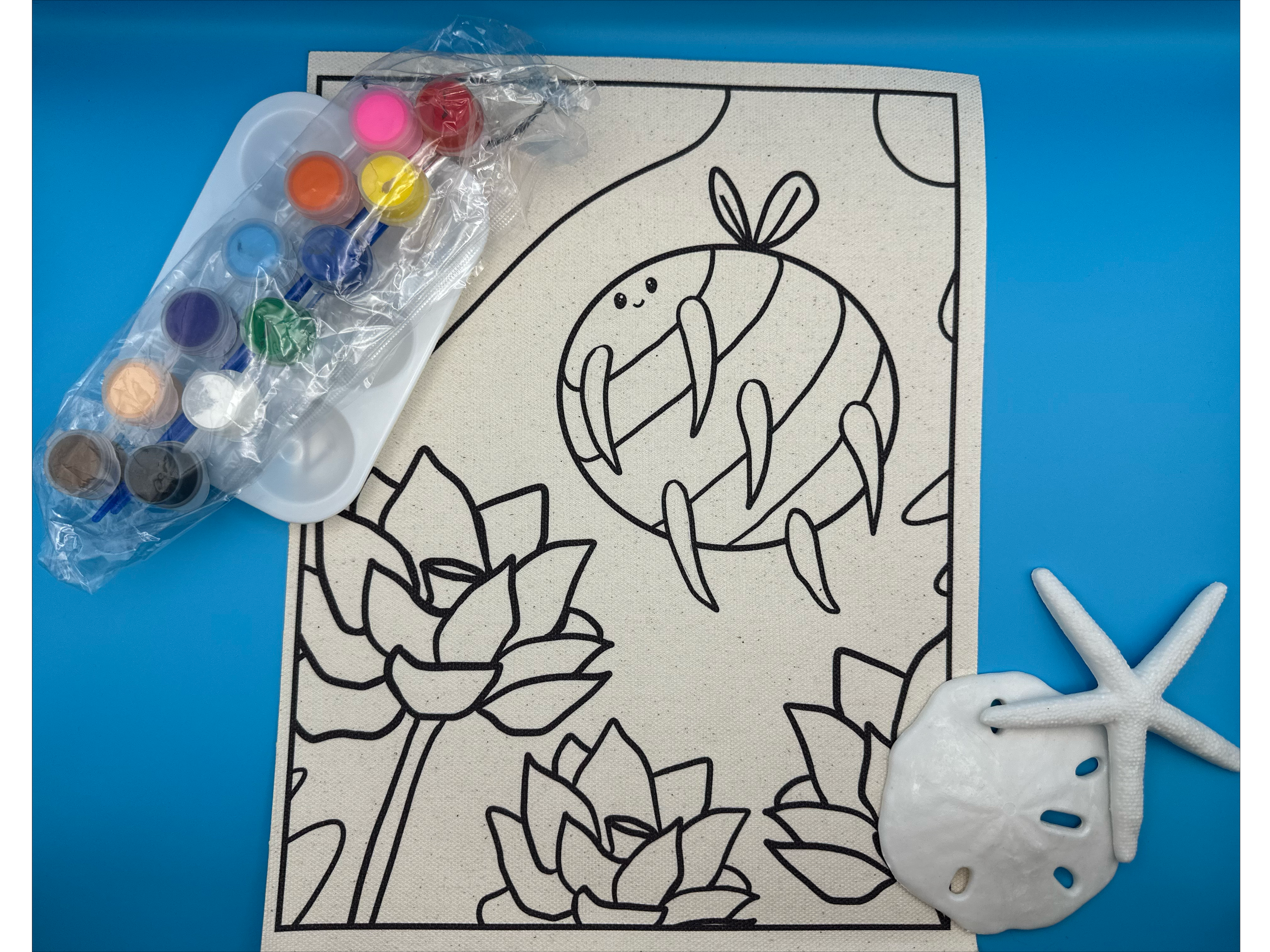 Chubbee Canvas Paint Kit