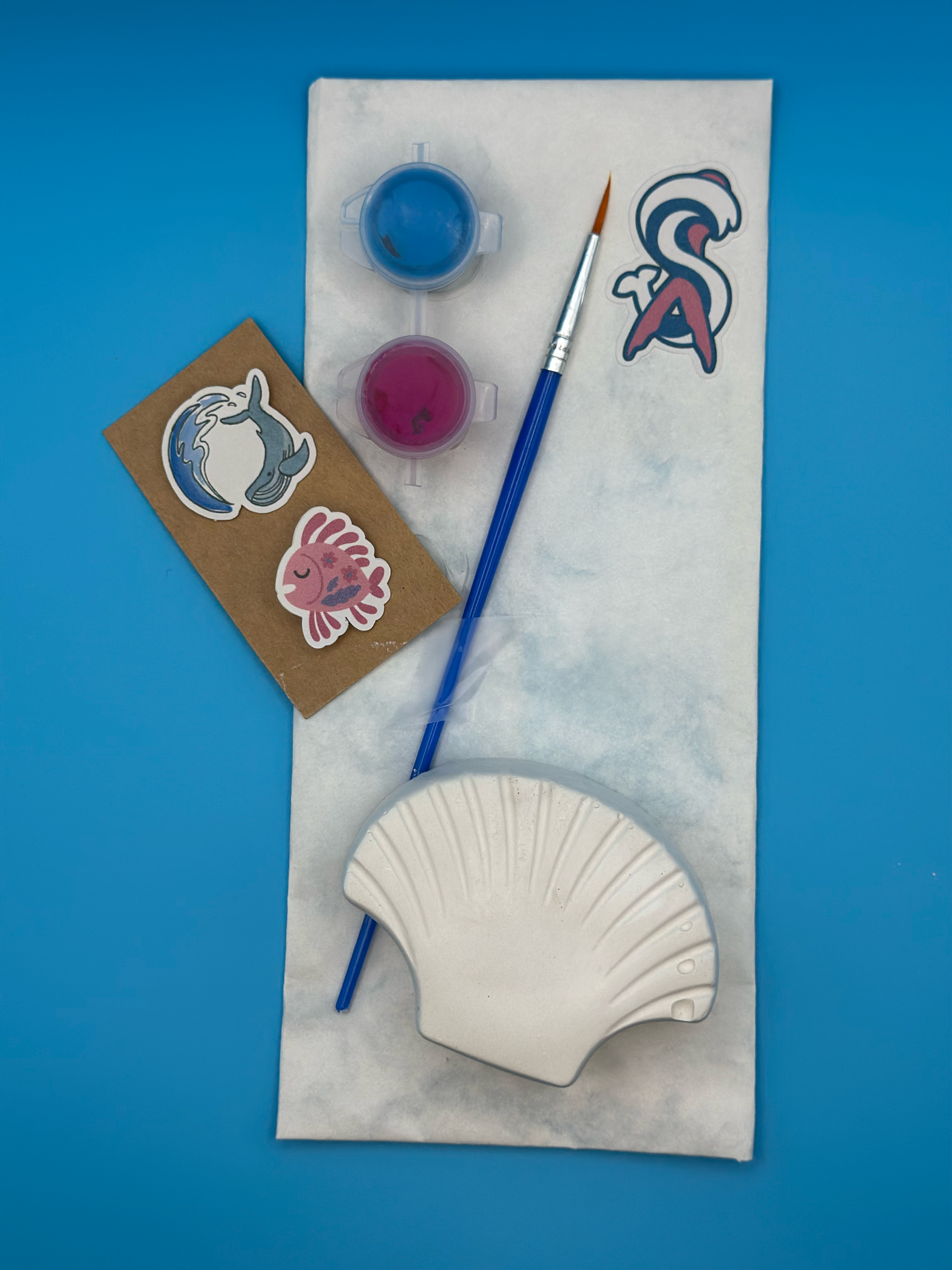 Seashell Plaster Paint Kit