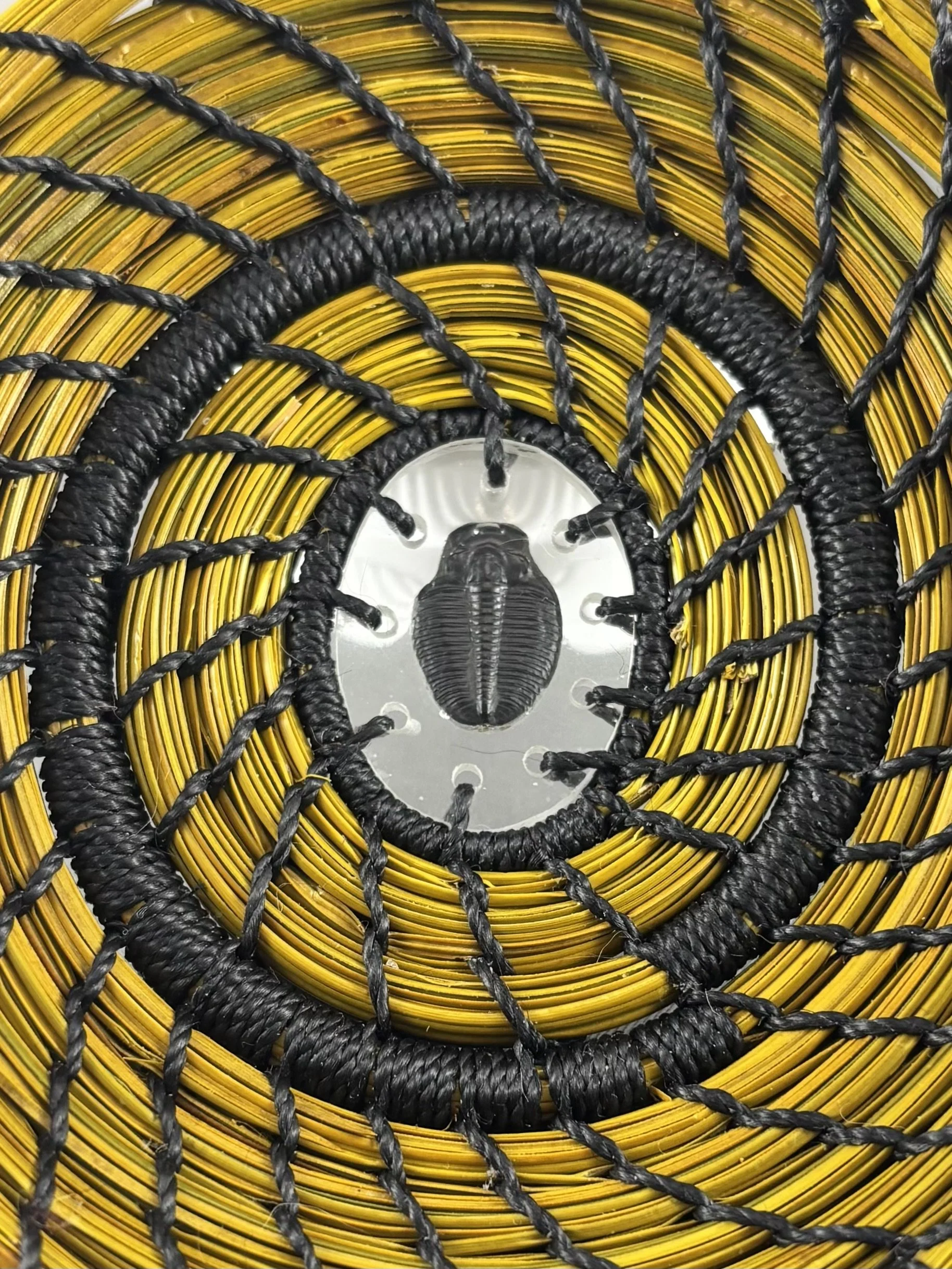 Close-up of the trilobite fossil and black spiral stitching on Primeval Gold pine needle basket